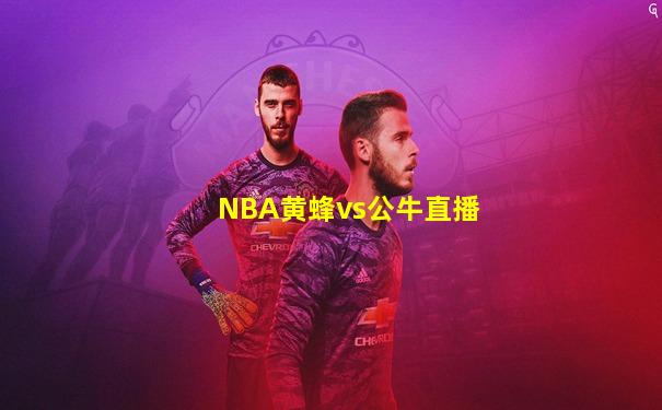 NBA黄蜂vs公牛直播