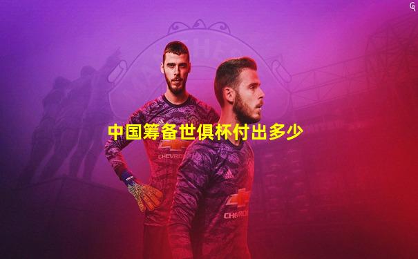 中国筹备世俱杯付出多少