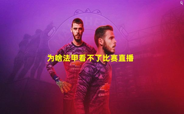 为啥法甲看不了比赛直播