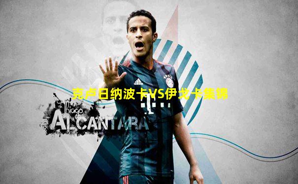 克卢日纳波卡VS伊戈卡集锦