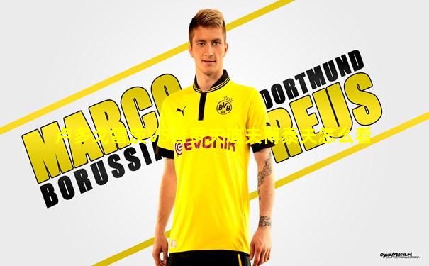 卢多戈雷茨VS普罗夫迪夫博泰夫怎么看