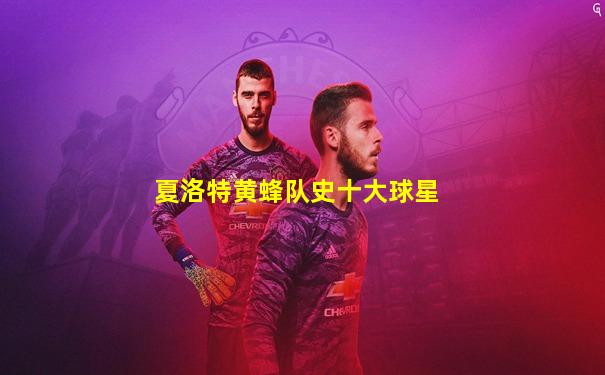 夏洛特黄蜂队史十大球星
