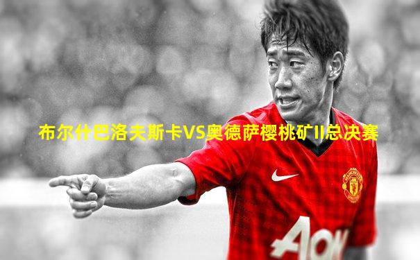 布尔什巴洛夫斯卡VS奥德萨樱桃矿II总决赛