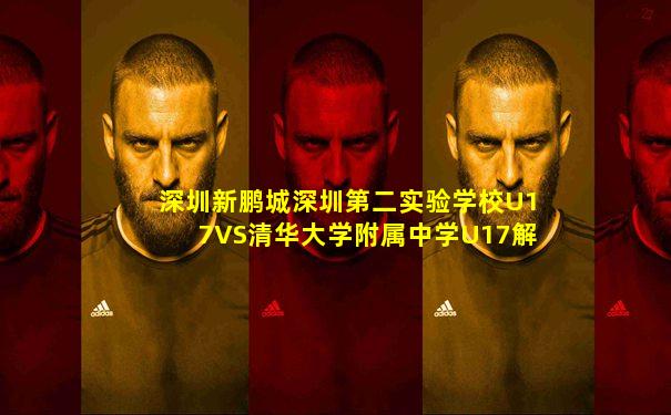 深圳新鹏城深圳第二实验学校U17VS清华大学附属中学U17解说