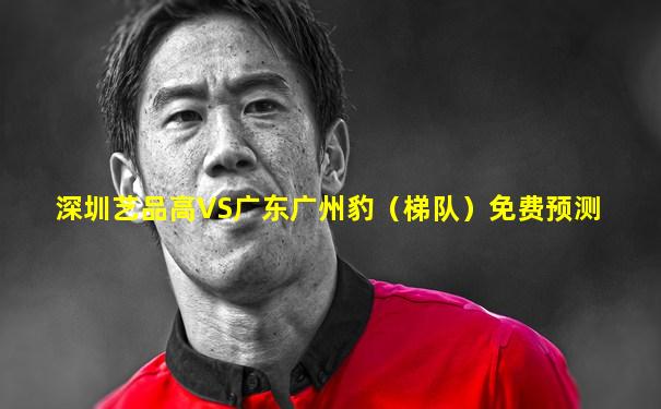 深圳艺品高VS广东广州豹（梯队）免费预测