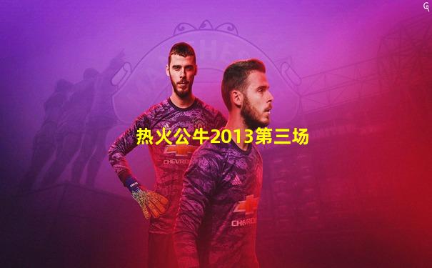 热火公牛2013第三场