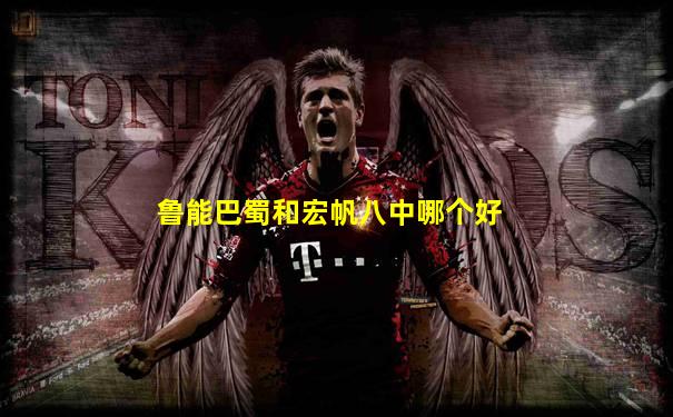 鲁能巴蜀和宏帆八中哪个好